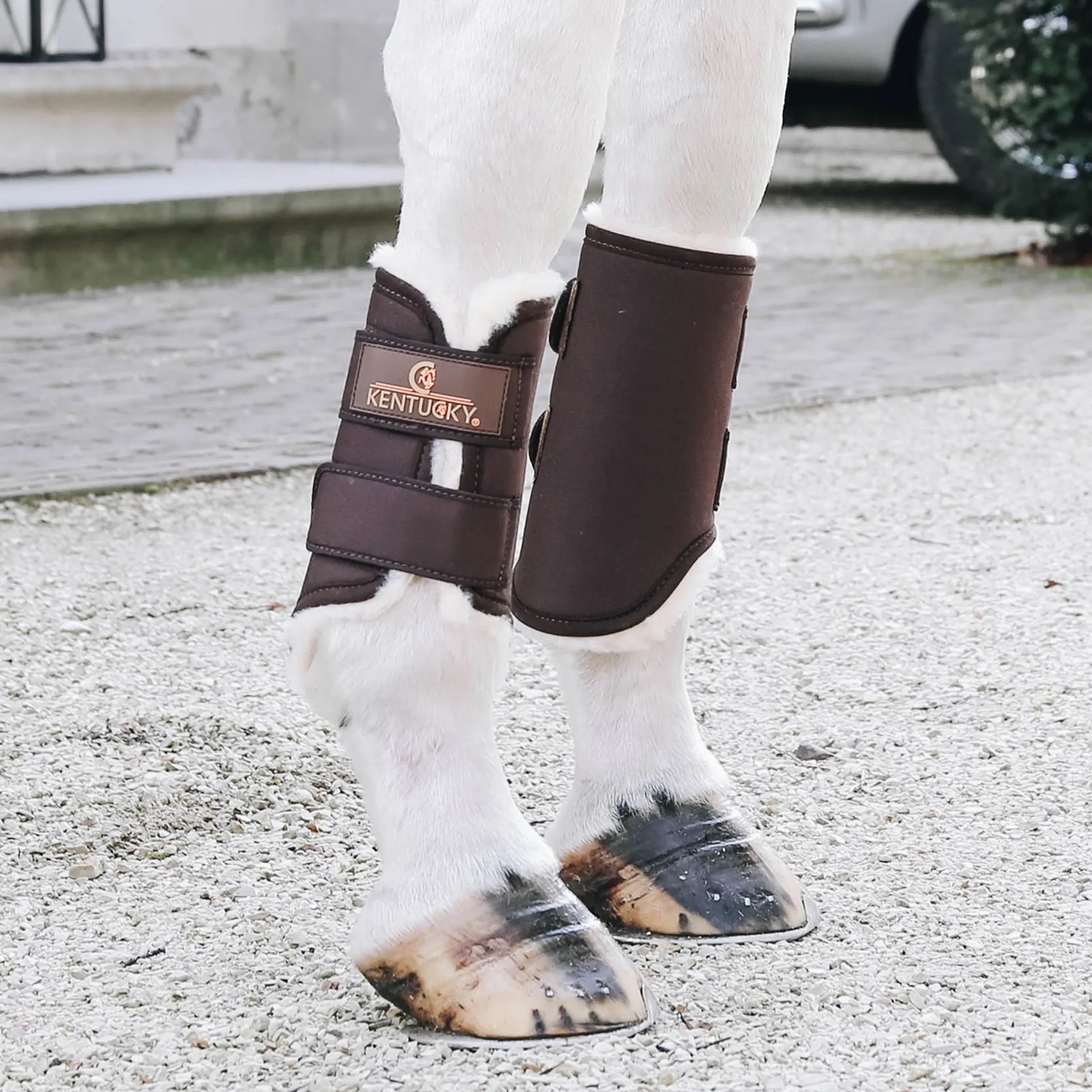 Kentucky Solimbra Turnout Boots-Hind-Brown-Regular - Image 3