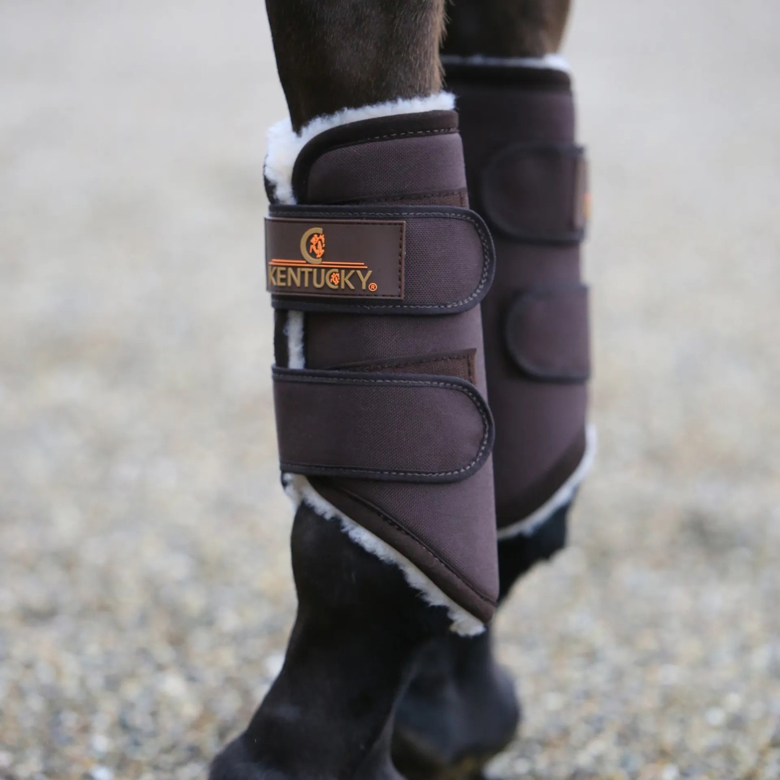 Kentucky Solimbra Turnout Boots-Hind-Brown-Regular - Image 4