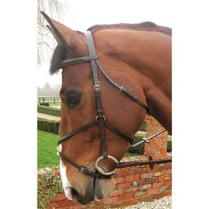 JHL Grakle Bridle Black Cob