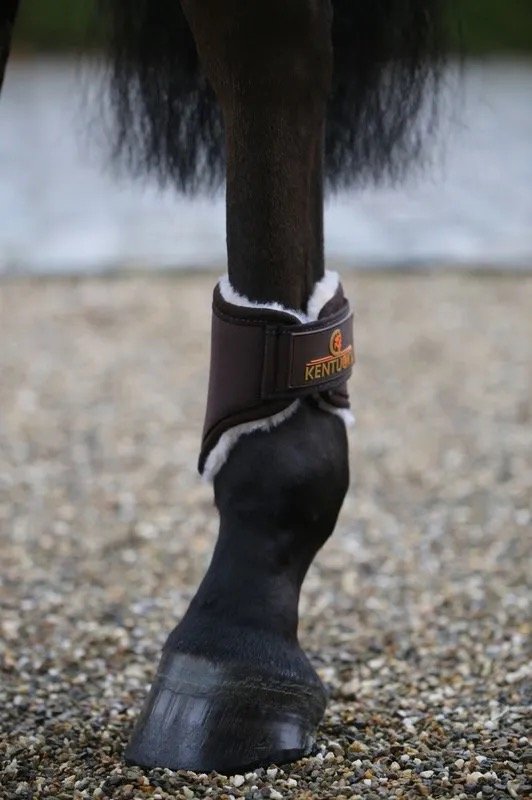 Kentucky Solimbra Fetlock Boots-Hind-Brown-Short - Image 3