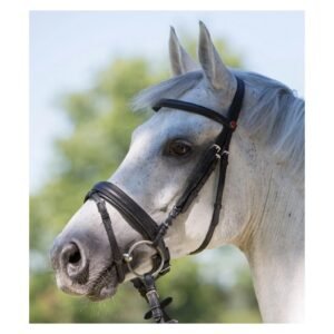 Kieffer Arezzo Snaffle Bridle-Black/Black-Full