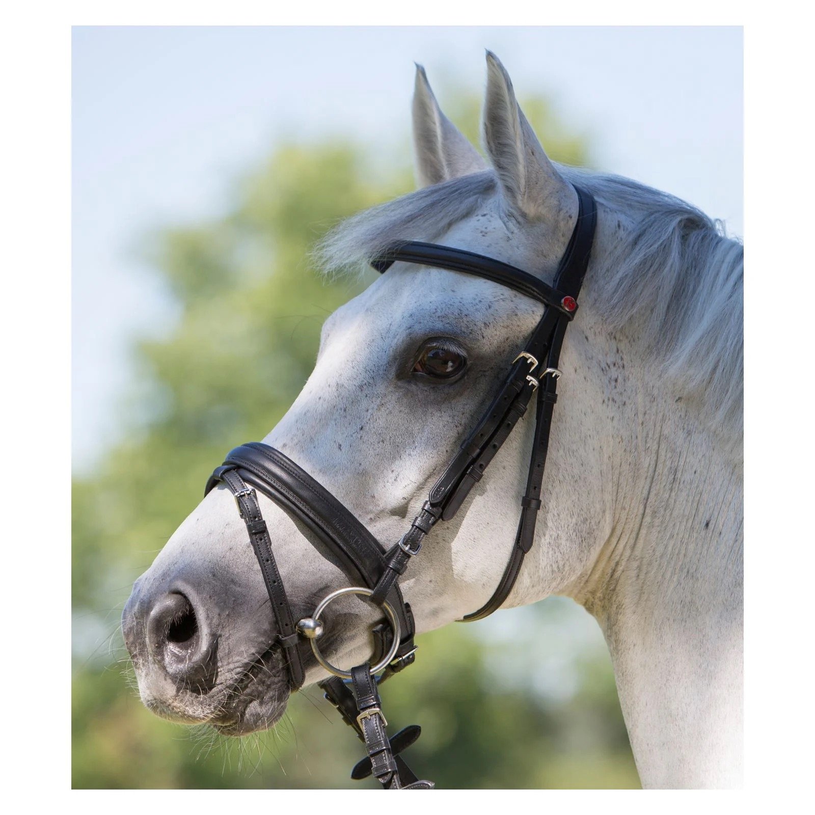Kieffer Arezzo Snaffle Bridle-Black/Black-Full