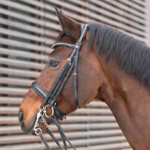 Kieffer Ultrasoft Deluxe Double Bridle-Black/Black Grey Crystal-Full