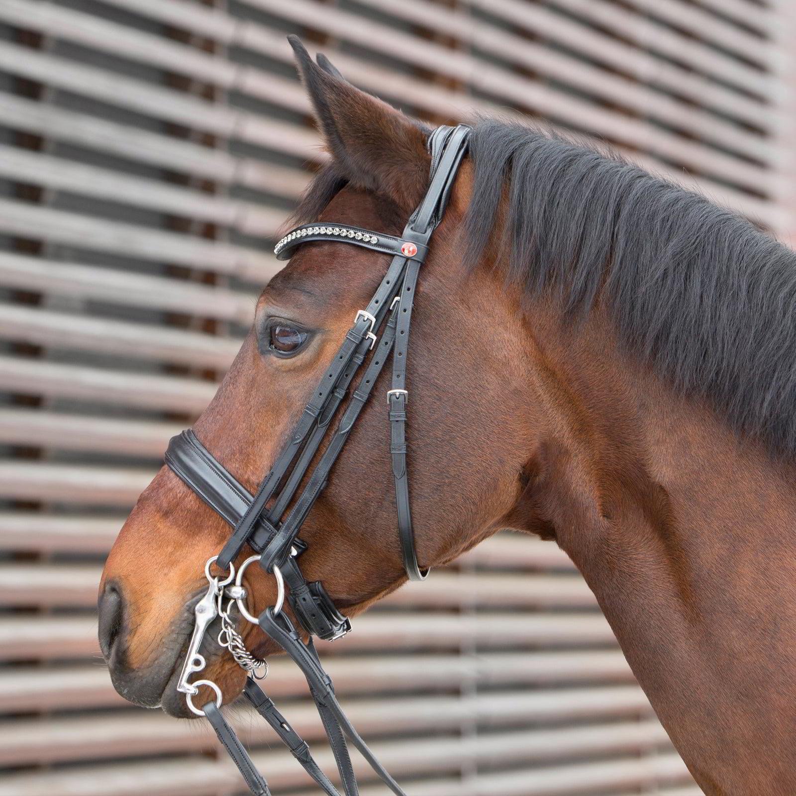Kieffer Ultrasoft Deluxe Double Bridle-Black/Black Grey Crystal-Full