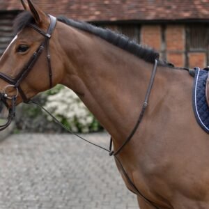 Mark Todd Standing Martingale Black Cob