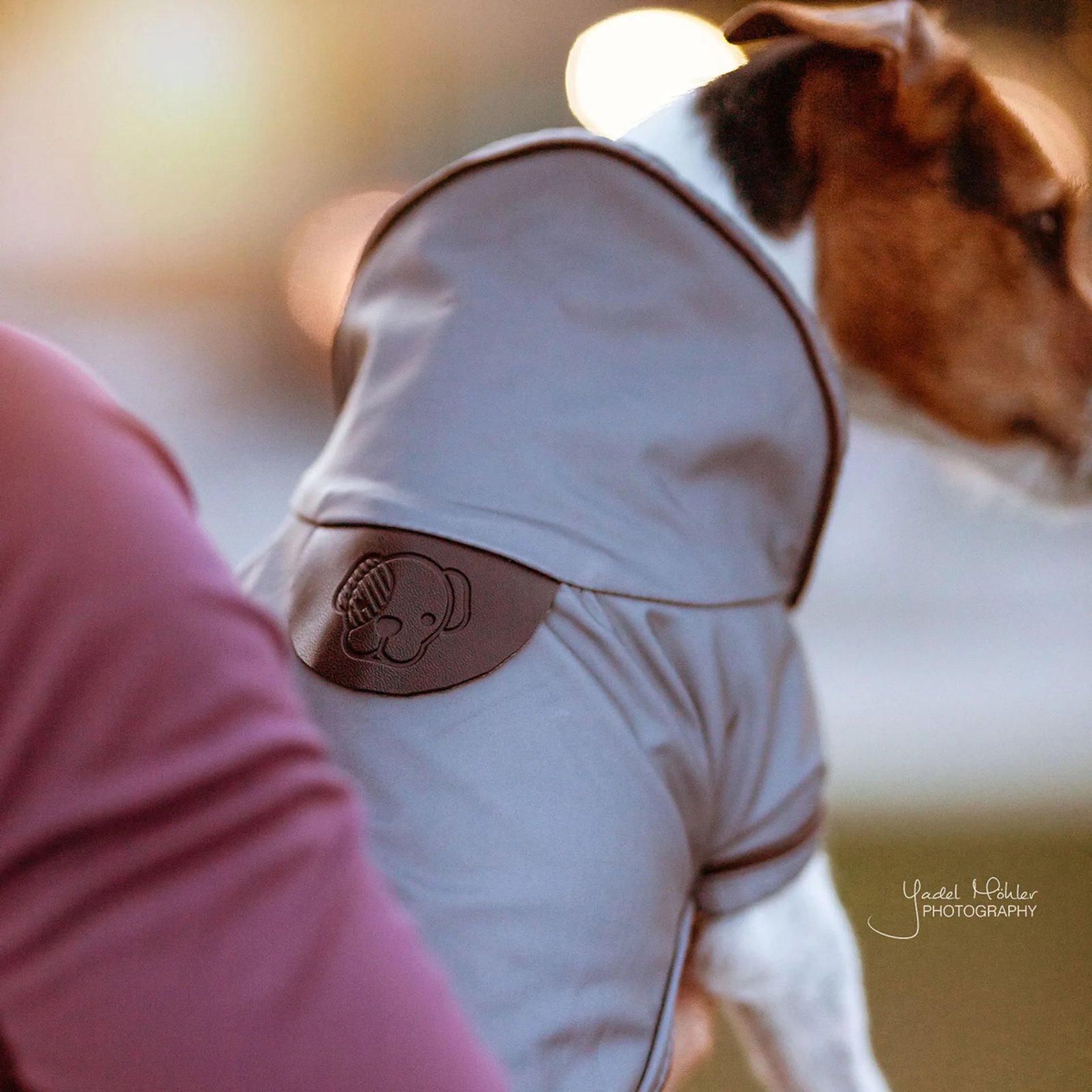 Kentucky Reflective and Waterproof Dog Coat-XL - Image 4