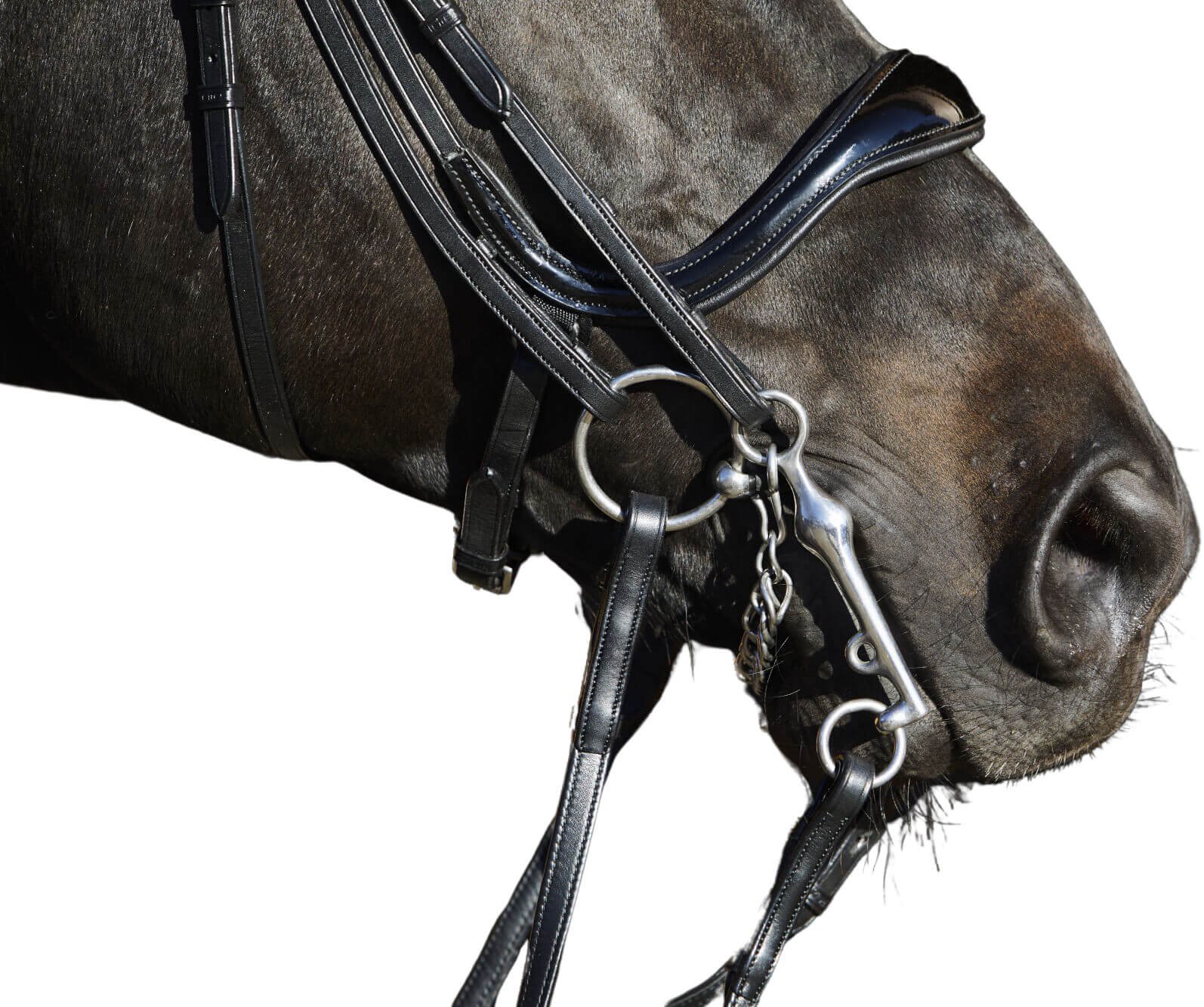 Kieffer Ultrasoft Amy double Bridle-Black-Cob - Image 2