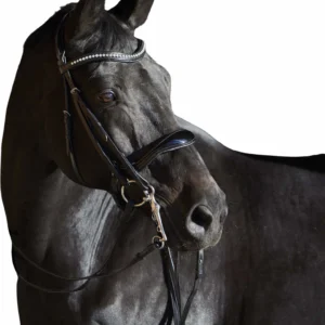 Kieffer Ultrasoft Amy double Bridle-Black-Cob