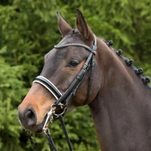 Kieffer Comfort Paris Snaffle Double Bridle-Black/Black-Cob