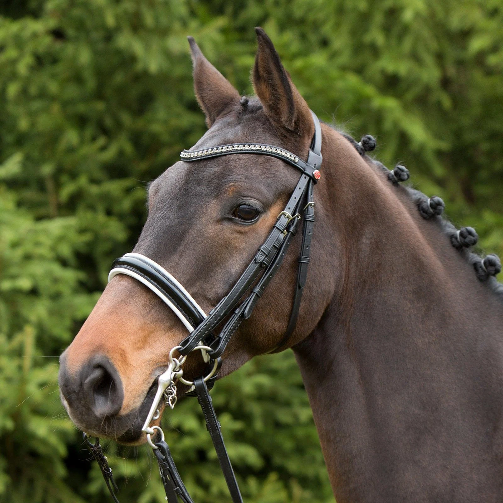 Kieffer Comfort Paris Snaffle Double Bridle-Black/Black-Cob