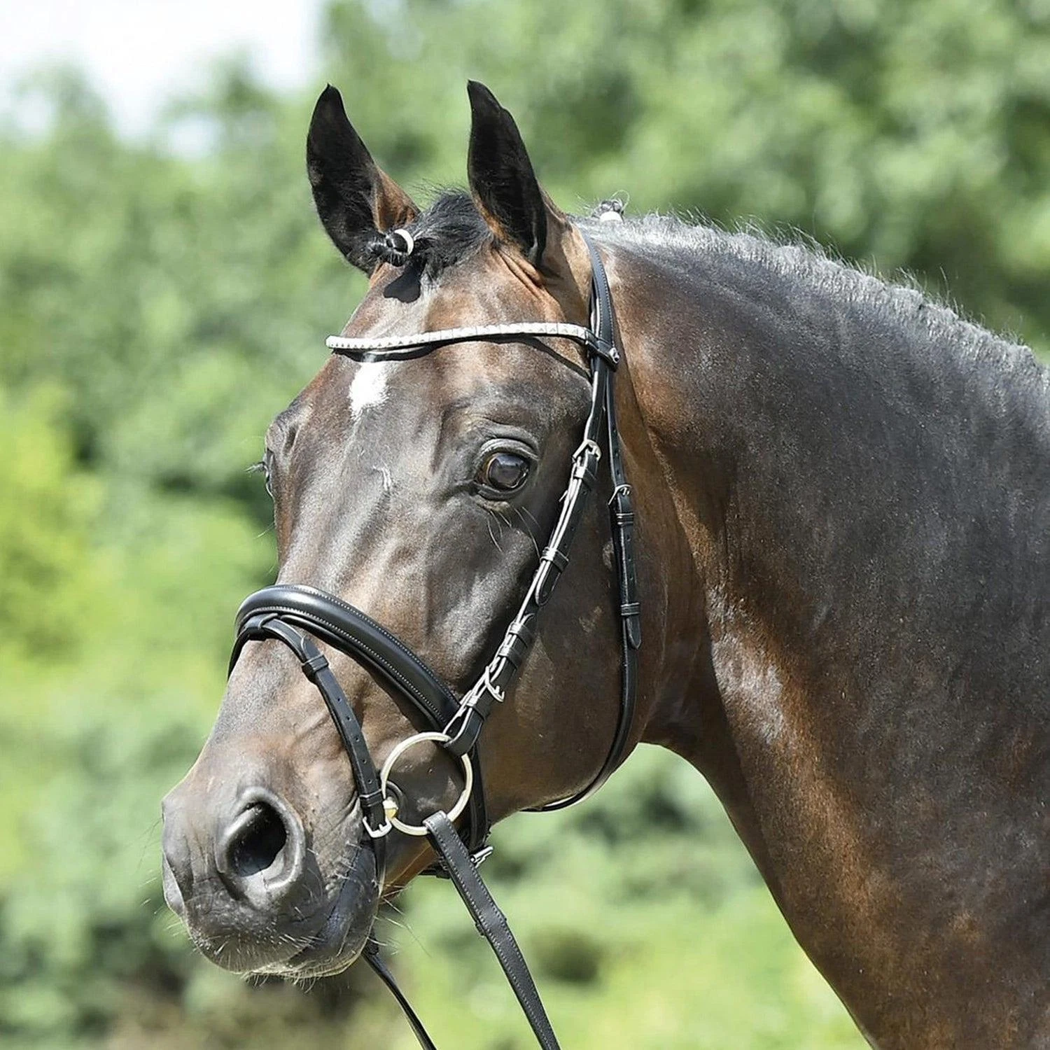 Kieffer Arezzo Snaffle Bridle-Black/Black-Cob