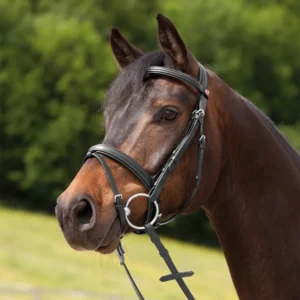 Kieffer Ergonomic Line Snaffle Bridle-Black/Black Lining-full