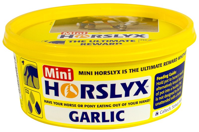 Horslyx Garlic Mini