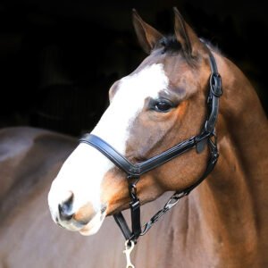 Liveryman Clipping Headcollar